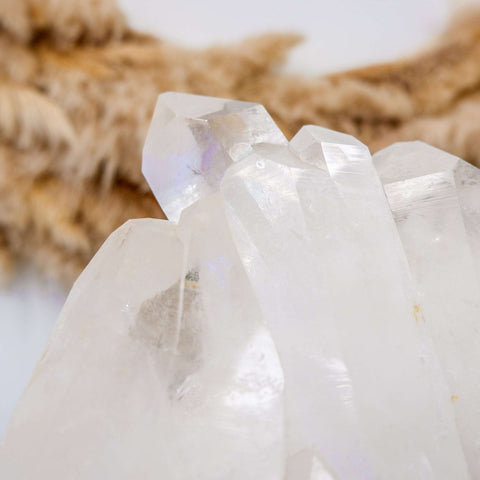 Brazilian Clear Quartz Cluster