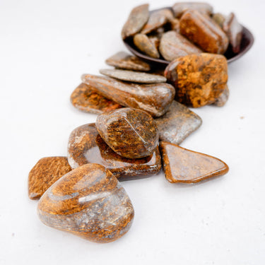 Bronzite Tumble - Western Australian - Crystal & Stone