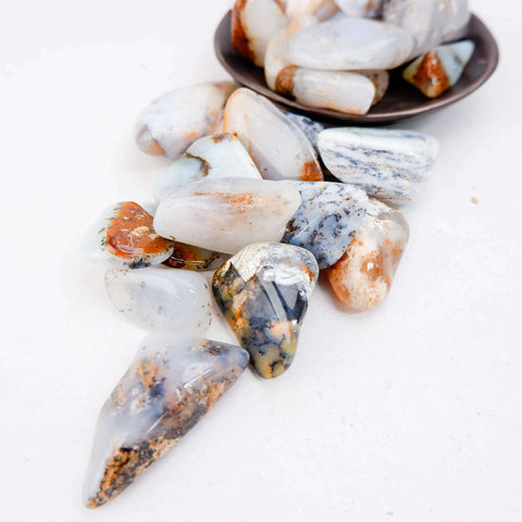 Dendritic Agate Tumble - Western Australian - Crystal & Stone