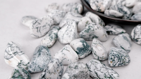 Tree Agate