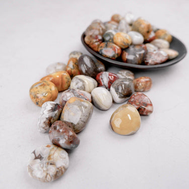 Crazy Lace Agate Tumble - Crystal & Stone