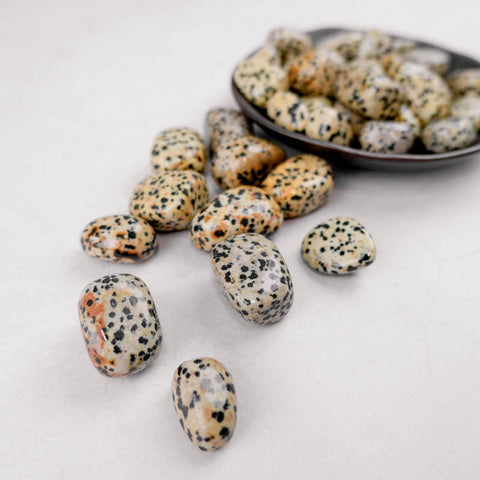 Dalmatian Jasper Tumble - Crystal & Stone