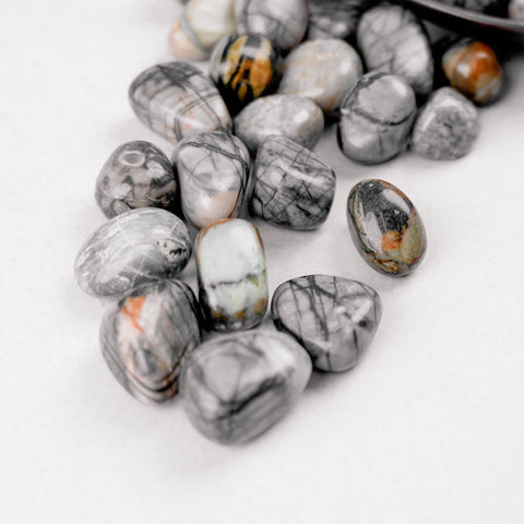 Picasso Jasper Tumble - Crystal & Stone