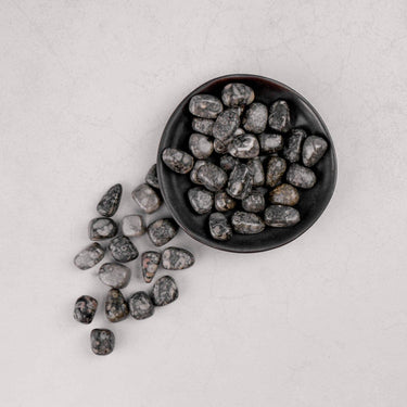 Sea Lily Fossil Tumble - Crystal & Stone