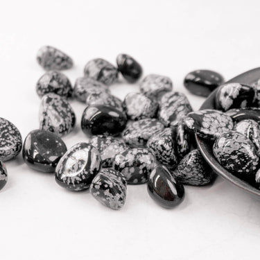 Snowflake Obsidian Tumble - Crystal & Stone